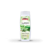 Saeed Ghani Shampoo Tea Tree & Aloe Vera 200ml - YehChez.pk
